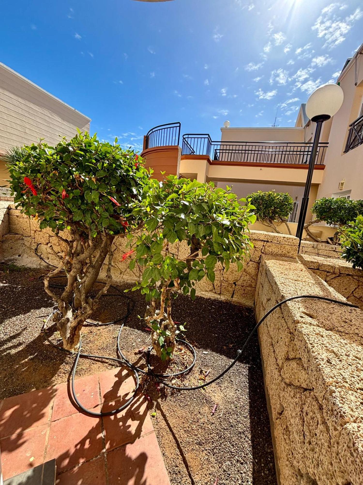 Apartment Clara Fanabe Costa Adeje  Buitenkant foto